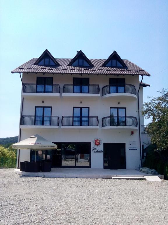 Pensiunea Clasic Curtea de Argeş Exterior foto
